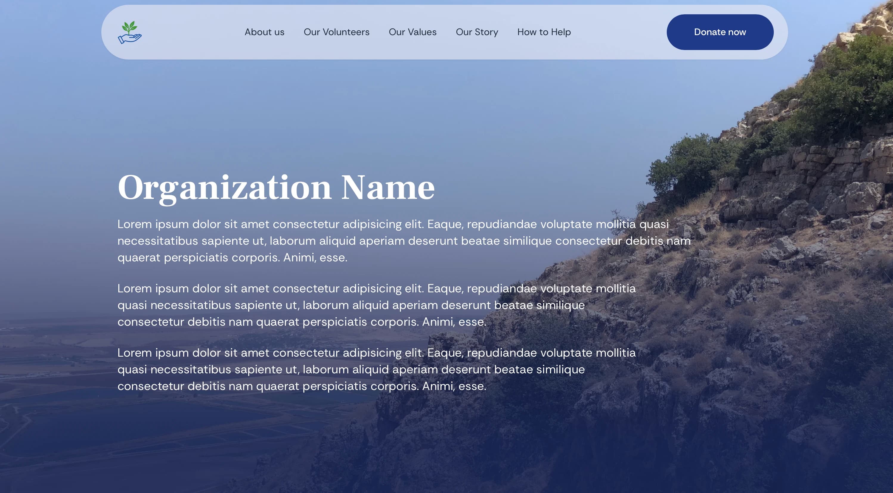 Non-Profit Organization Website